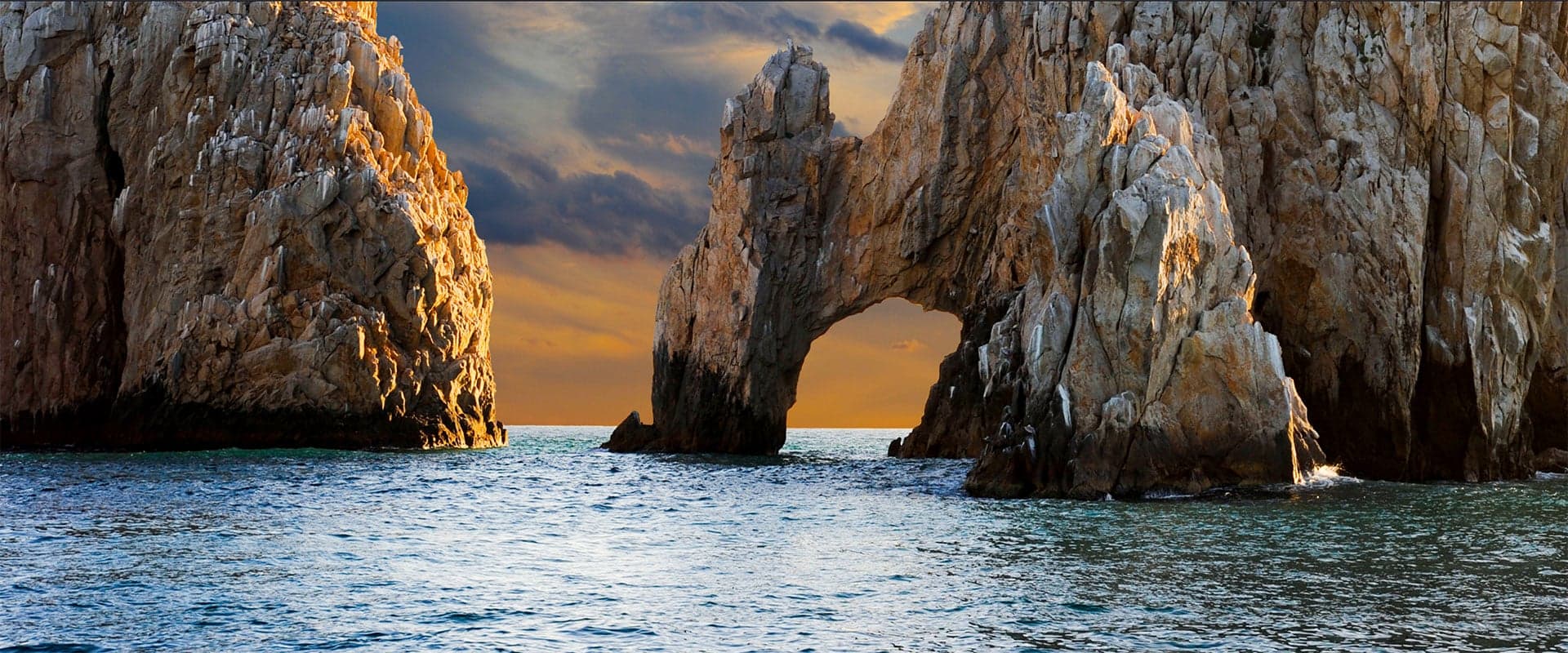 Baja Cabo Advisor - tours and experiences